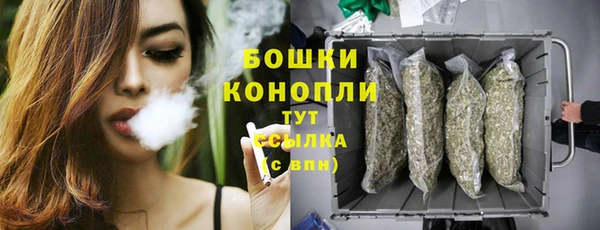 сатива Железногорск-Илимский