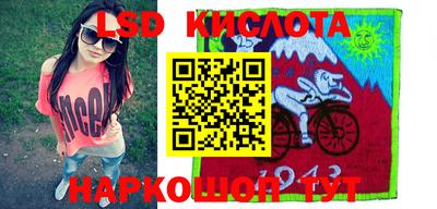 кокс Кингисепп