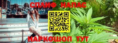 кокс Кингисепп