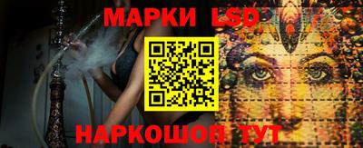 кокс Кингисепп