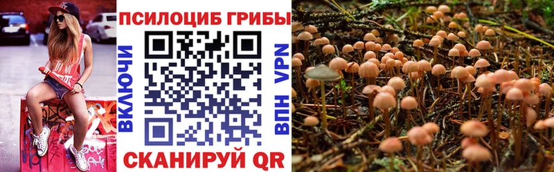 Псилоцибиновые грибы MAGIC MUSHROOMS  блэк спрут ссылки  Медногорск  купить наркоту 