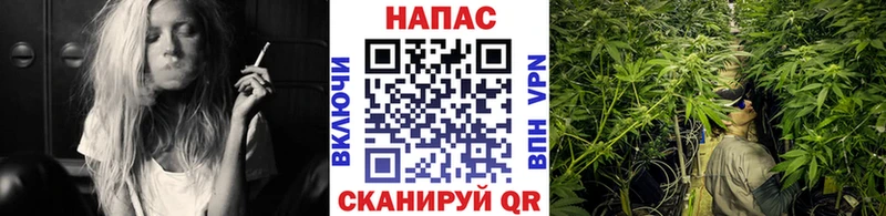Конопля тримм  Медногорск 